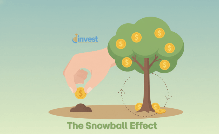 The Newbie Trap: Ignoring the "DRIP"